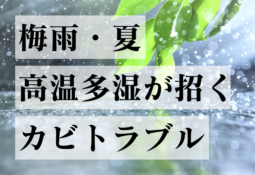 カビ,対策,リフォーム,リノベーション,会社