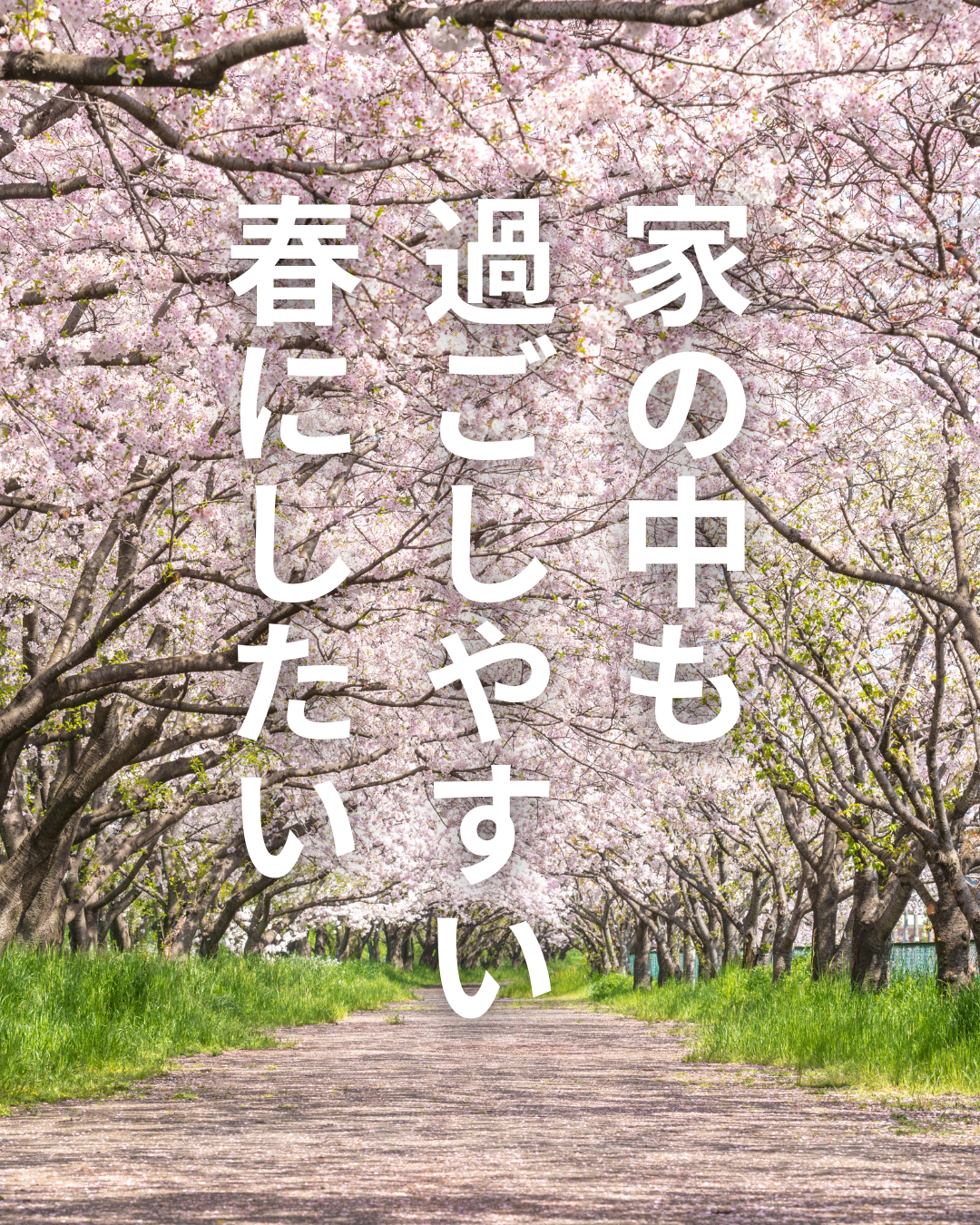 春先に外に出ると暖かい日差しや、涼しい風を感じるが、家の中は外よりも寒い気がするのは家に問題がある場合があります。