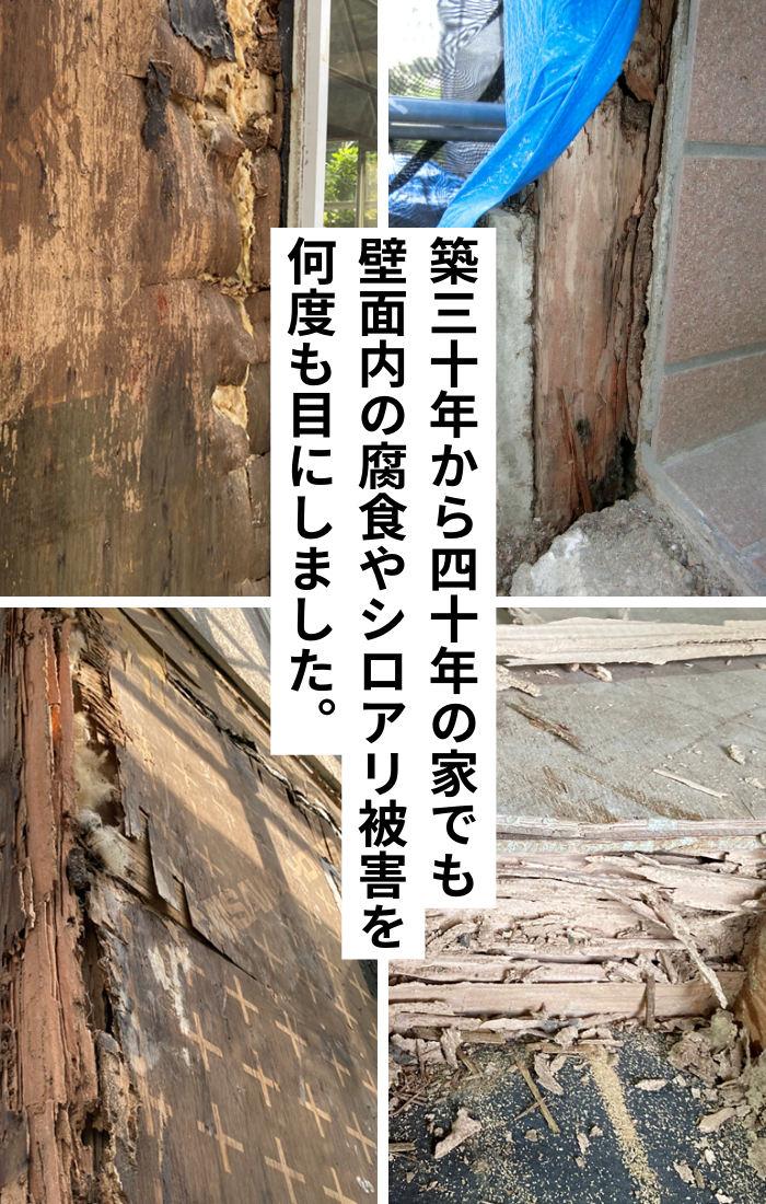 築30年から築40年の家のリノベ現場で壁面内部の腐食やシロアリ被害を発見することがあります。実際の被害の写真です。